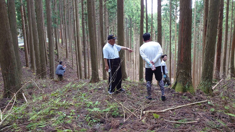 智頭の山 視察 その2